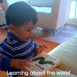 learning_about_the_world